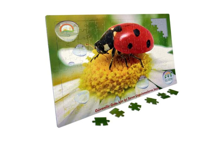 Custom Design Frame Puzzle