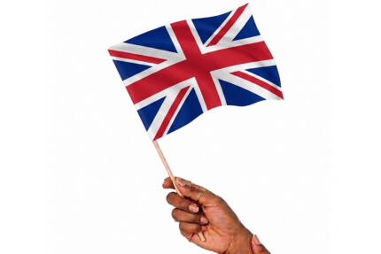 Polyester Hand Waving Flag